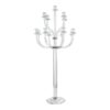 Anastasia Candelabra