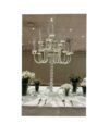 White Crystal Candelabra